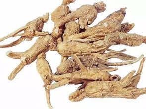 你見過三七嗎 揭秘三七配天麻 西洋參 當(dāng)歸的神奇功效