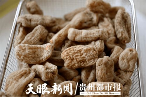 協(xié)與攜的變奏 黔貨出山進軍營 溢出輻射效應(yīng)初顯