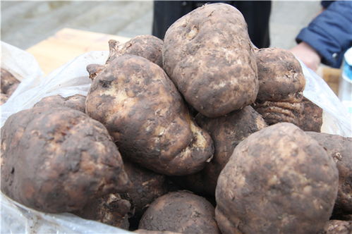 解讀 國家衛(wèi)健委發(fā)文 對靈芝 天麻等9種物質(zhì)試點既是食品又是中藥材管理