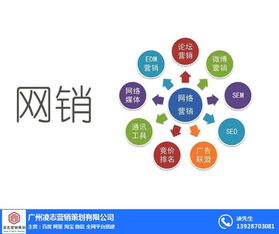 海珠區(qū)企業(yè)畫冊設計專家——凌志營銷策劃，信息系統(tǒng)集成服務優(yōu)質商家